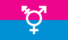 The transgender logo